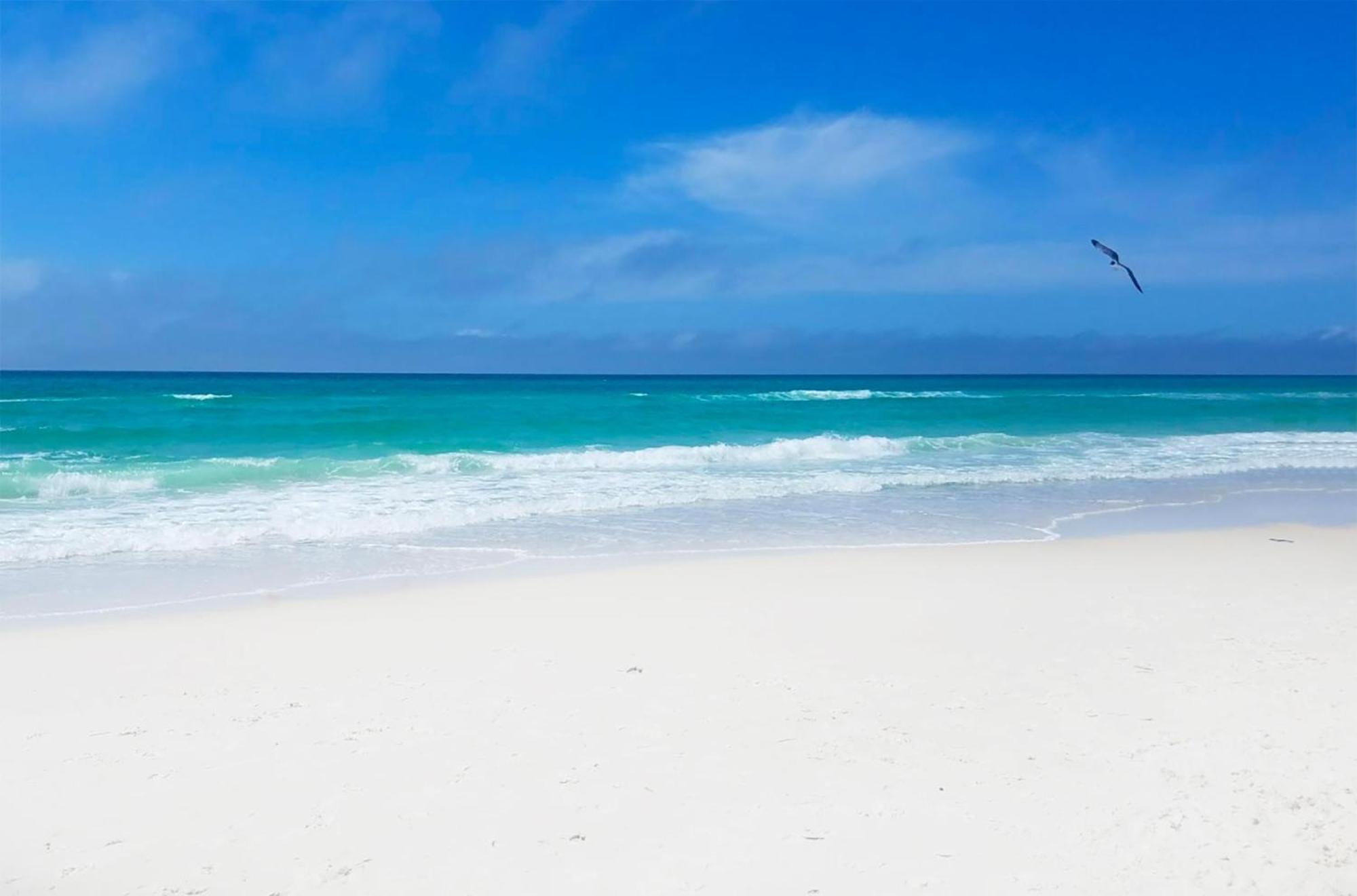 Long Beach Resort 1-105 Panama City Beach Ngoại thất bức ảnh
